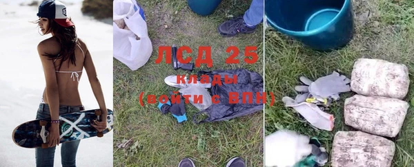крисы Медвежьегорск