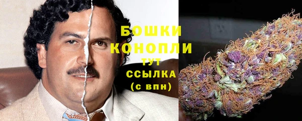 крисы Медвежьегорск