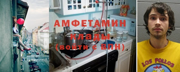 крисы Медвежьегорск