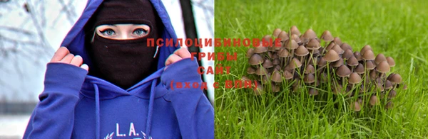 крисы Медвежьегорск