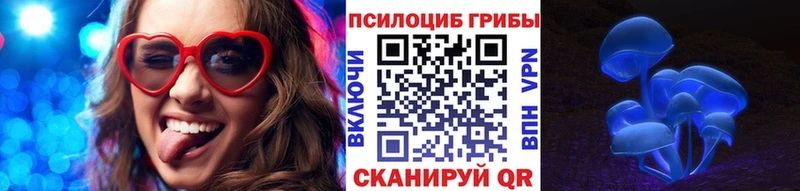 наркота  Хилок  Галлюциногенные грибы Psilocybe 